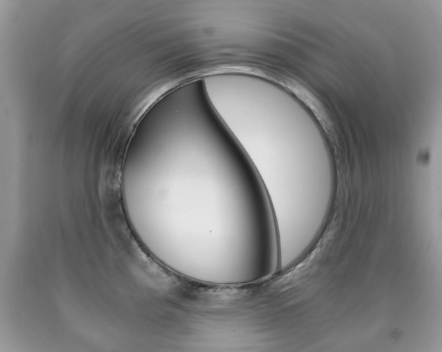 X0000090761193200707201047