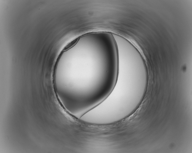 X0000090761197200707201047