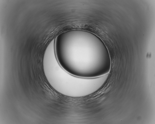 X0000090761202200707201046