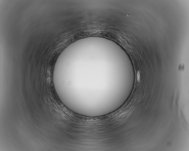 X0000090761203200707201046