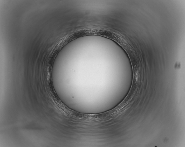 X0000090761204200707201046