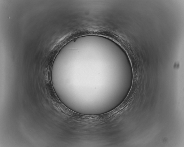 X0000090761205200707201046