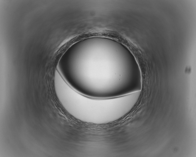 X0000090761206200707201046