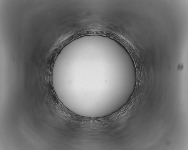 X0000090761207200707201046