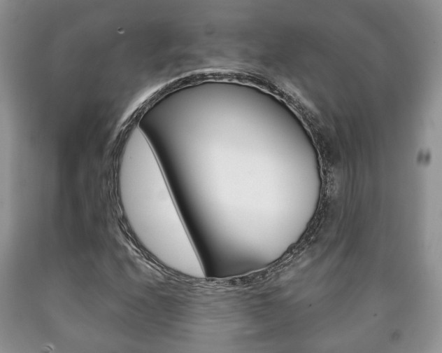 X0000090761208200707201046