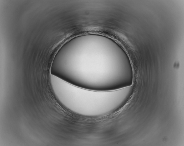 X0000090761209200707201046