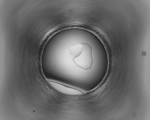 X0000090761210200707201046