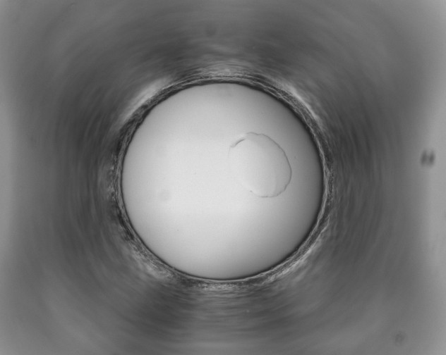 X0000090761211200707201046