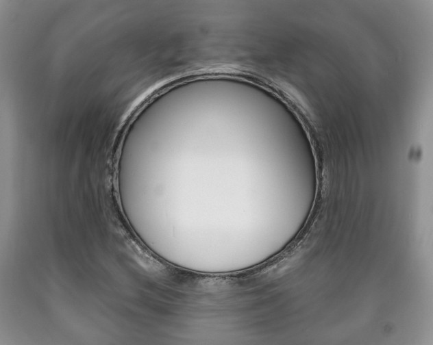 X0000090761212200707201046