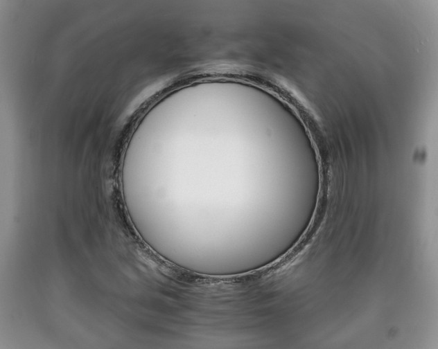 X0000090761213200707201046