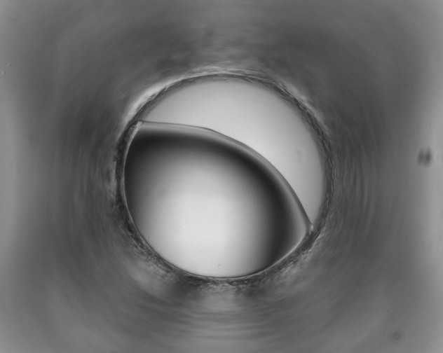 X0000090761214200707201046