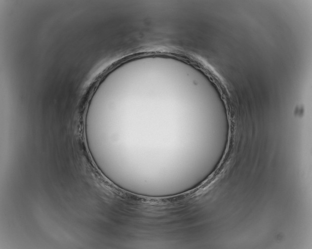 X0000090761215200707201046