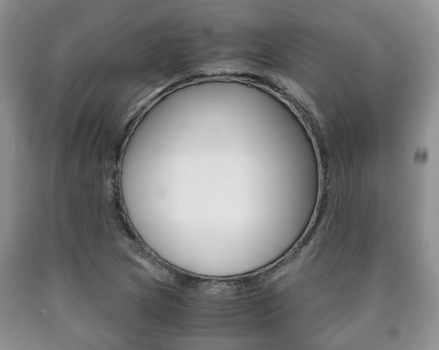 X0000090761217200707201046