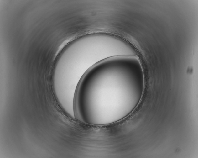 X0000090761218200707201046
