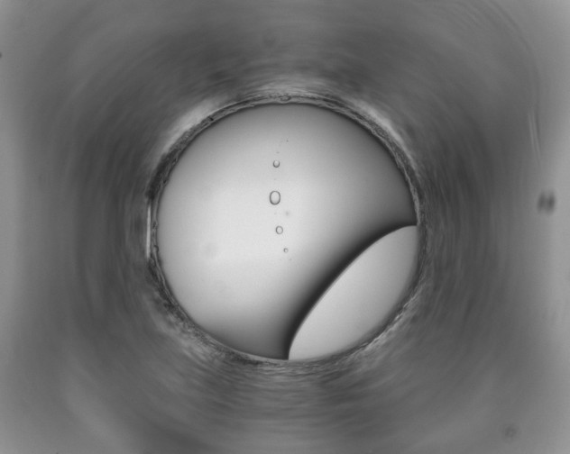 X0000090761219200707201046
