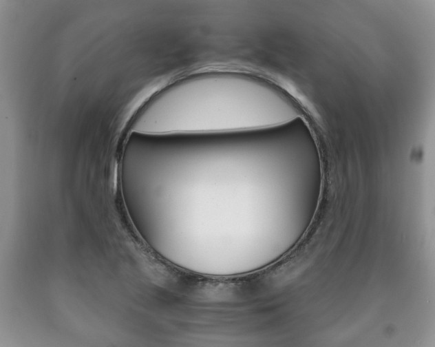 X0000090761221200707201046