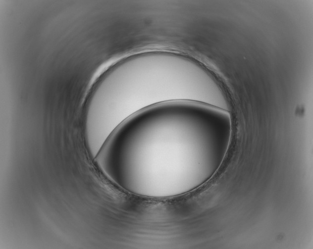 X0000090761222200707201046