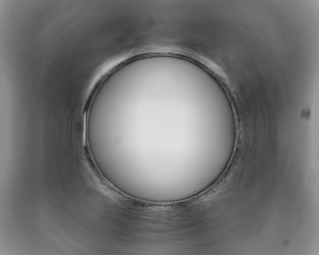 X0000090761223200707201046