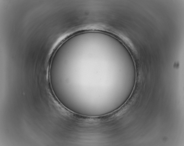X0000090761224200707201046