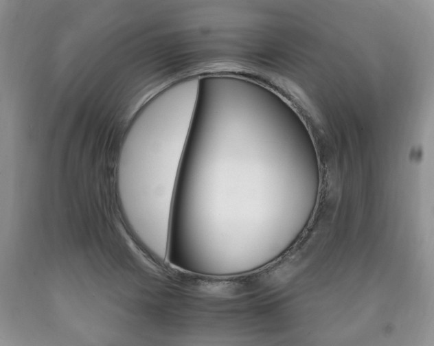 X0000090761225200707201046