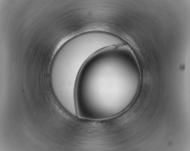 X0000090761226200707201046
