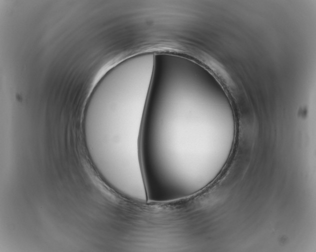 X0000090761234200707201047