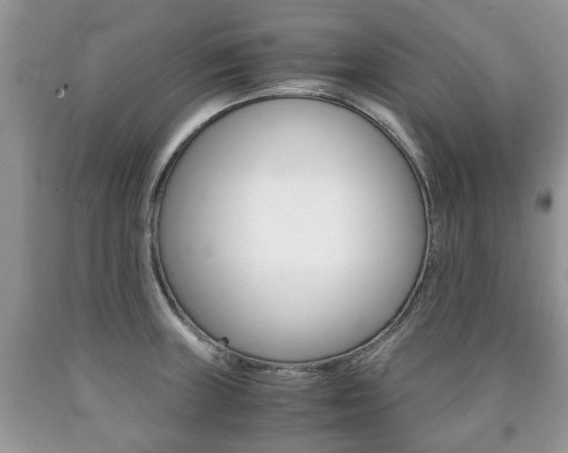 X0000090761235200707201047