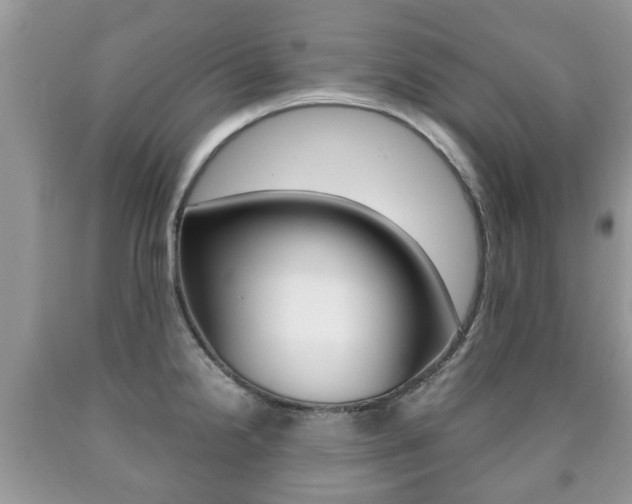 X0000090761238200707201047