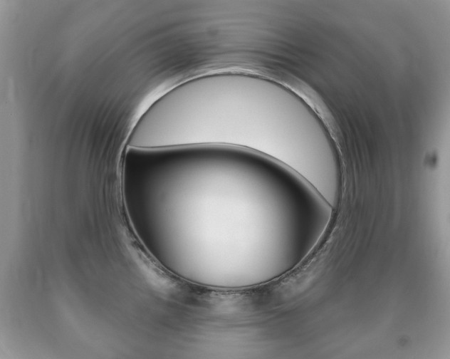 X0000090761242200707201047