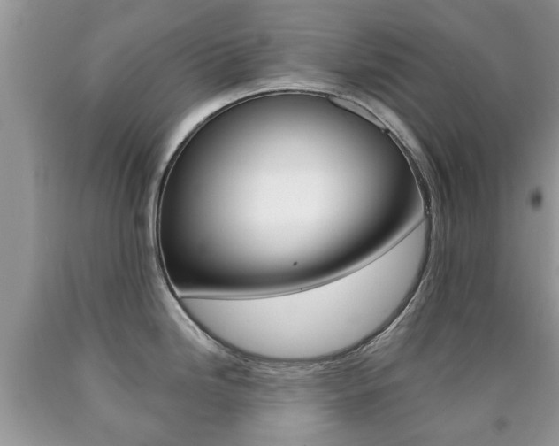 X0000090761246200707201047