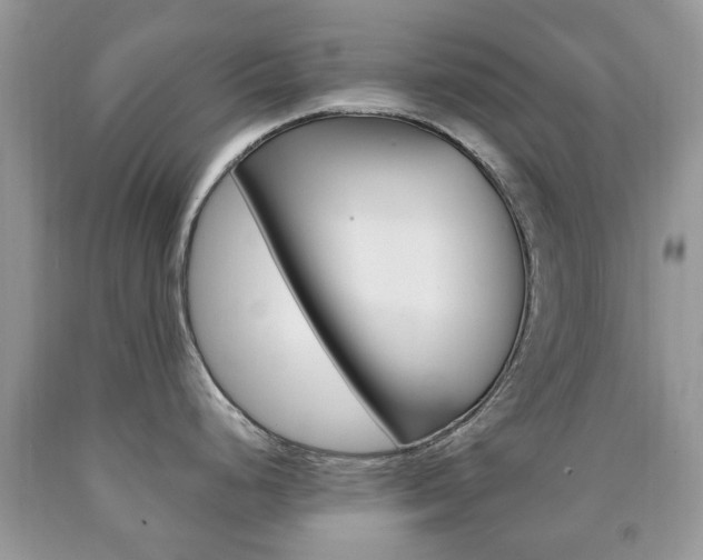 X0000090761248200707201047