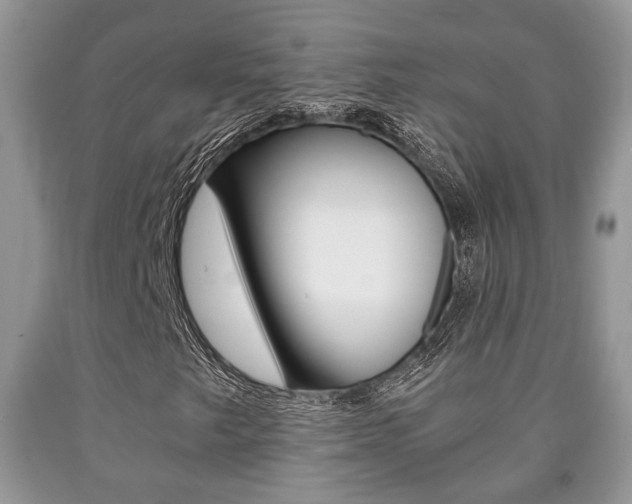 X0000090761249200707201046