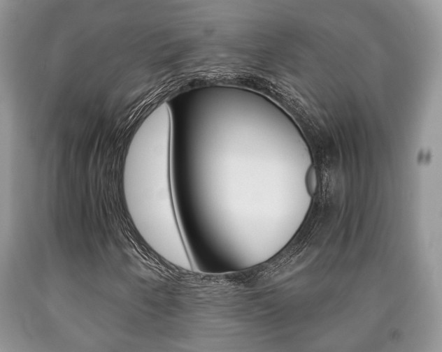 X0000090761250200707201046