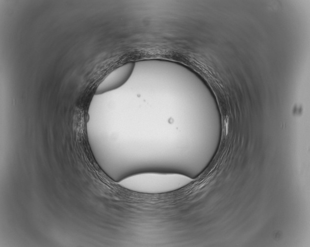 X0000090761251200707201046
