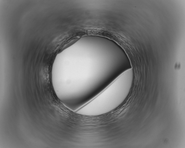 X0000090761252200707201046