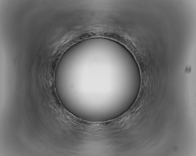 X0000090761253200707201046