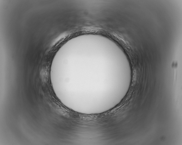 X0000090761254200707201046