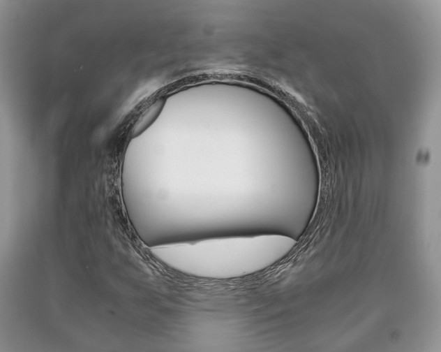 X0000090761255200707201046