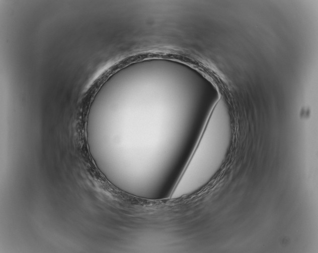 X0000090761256200707201046