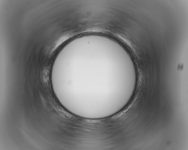 X0000090761258200707201046