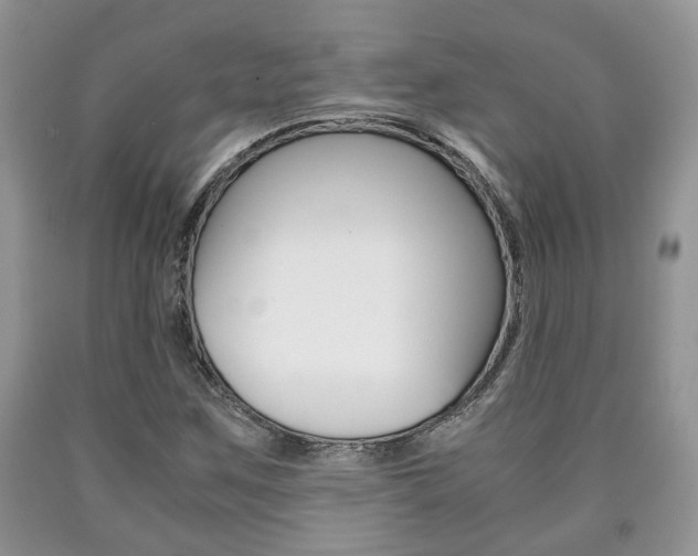 X0000090761259200707201046