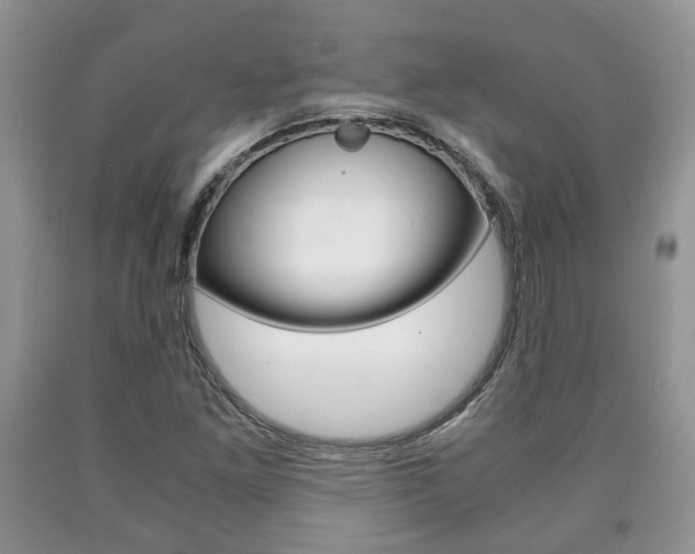 X0000090761261200707201046