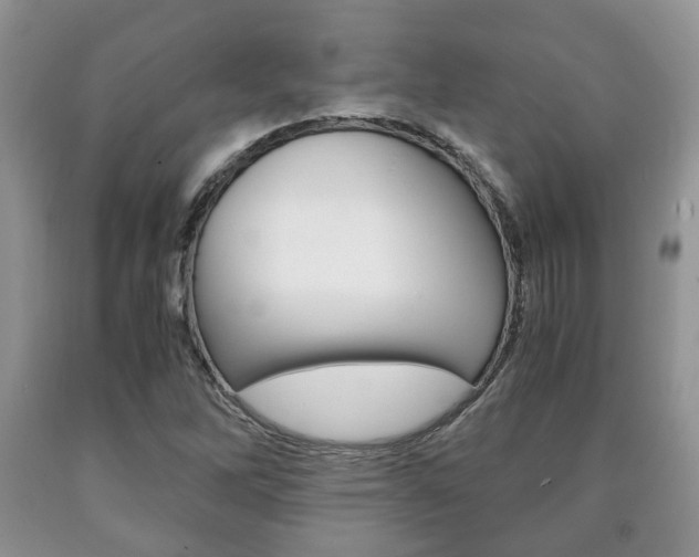 X0000090761262200707201046