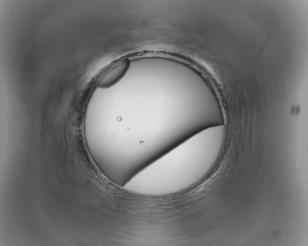 X0000090761263200707201046
