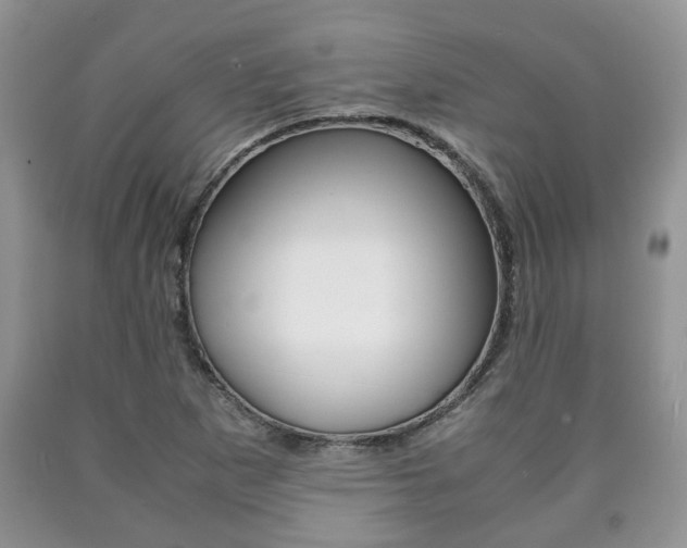 X0000090761265200707201046