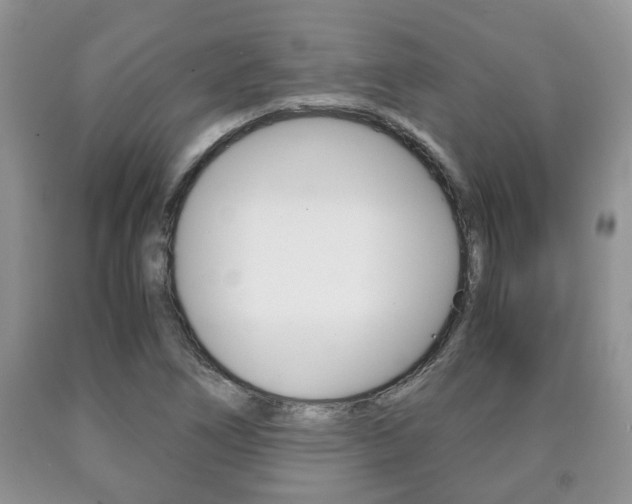 X0000090761266200707201046