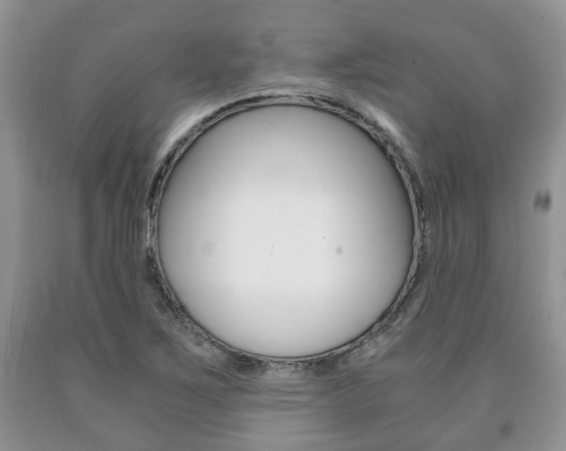 X0000090761267200707201046