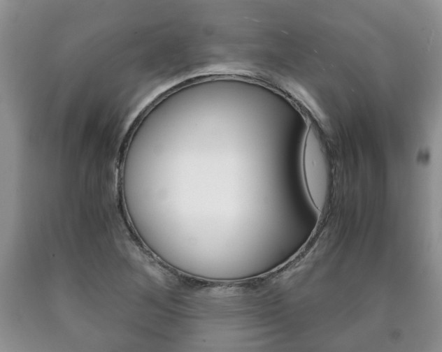 X0000090761268200707201046