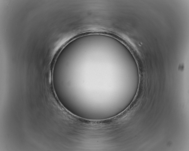 X0000090761269200707201046