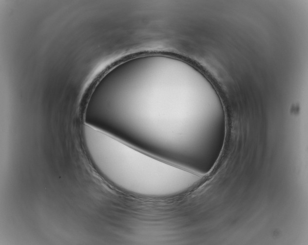 X0000090761270200707201046